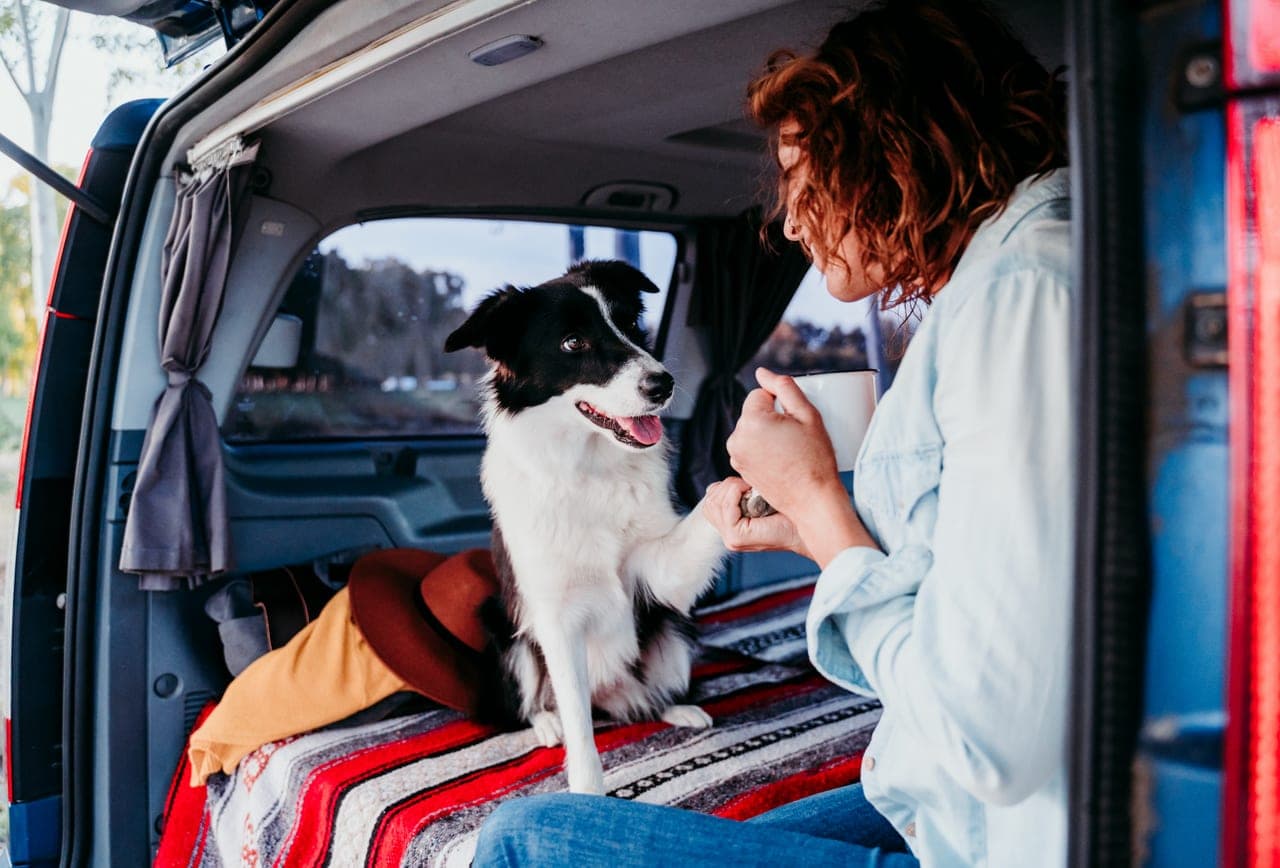 Dog Friendly Vans